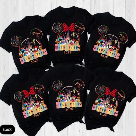 Personalized Disney Wish Trip 2025 Family Shirts, Disney World Vacation Tee, Matching Family Trip Shirts